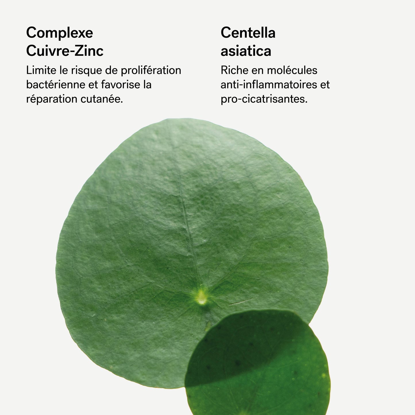 Baume cica-réparateur C94
Complexe cuivre-zinc 0,5% + Centella asiatica