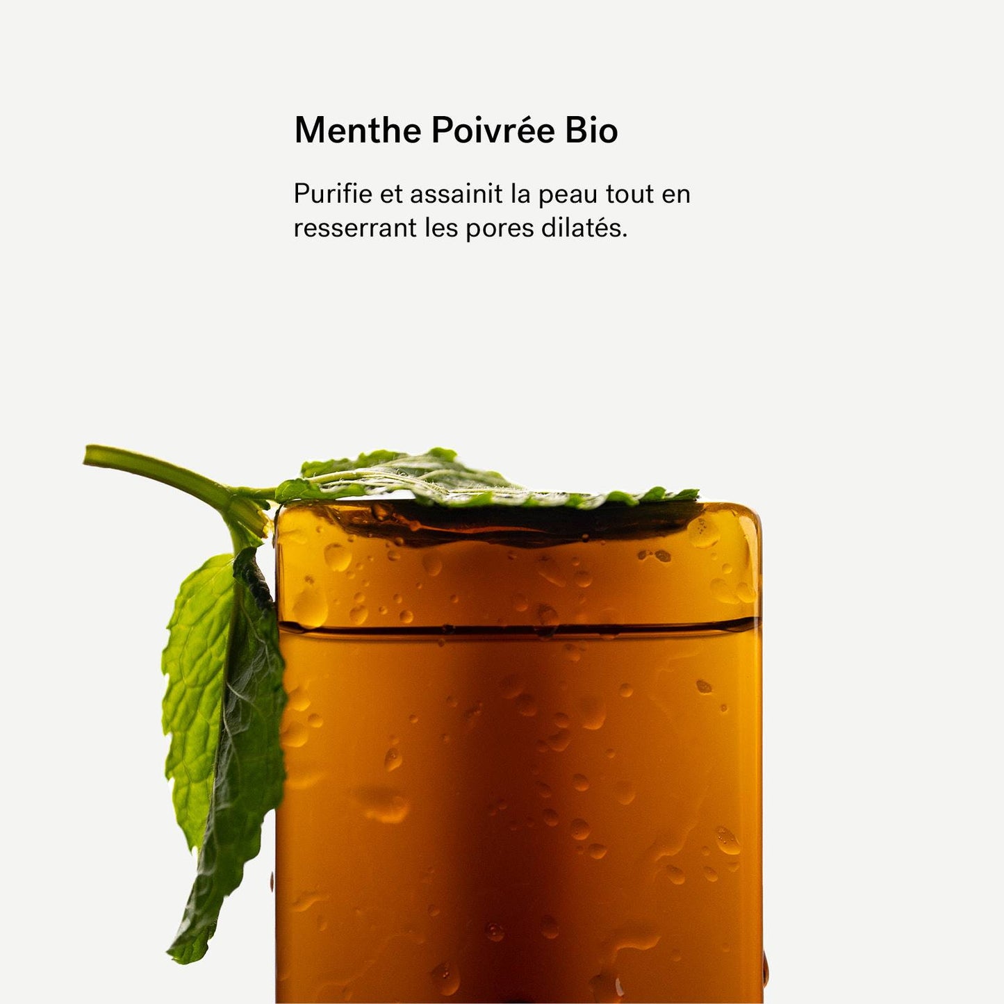 Hydrolat de Menthe Poivrée Bio P22