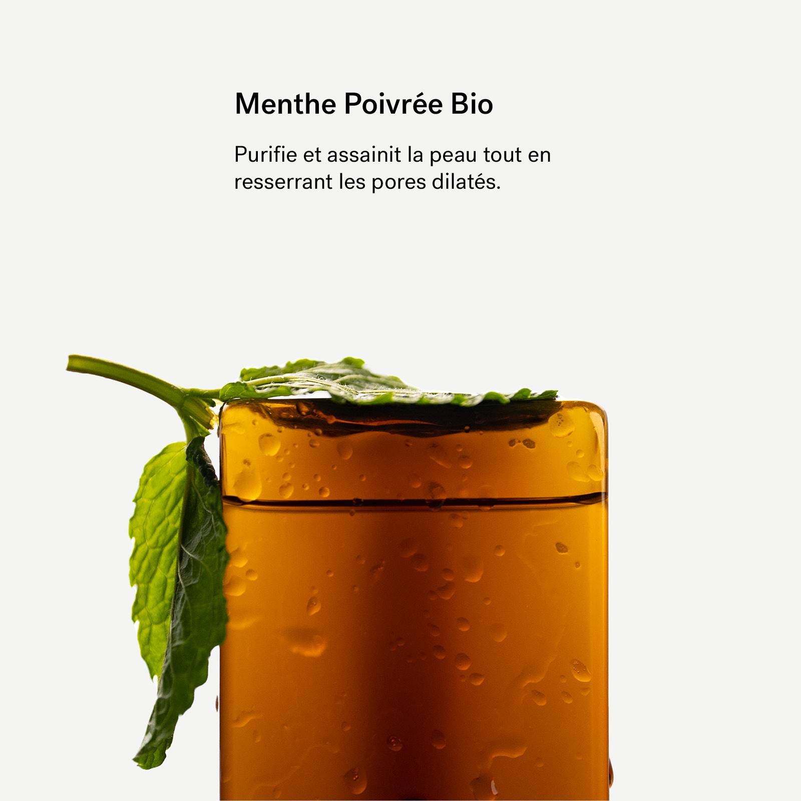 Hydrolat de Menthe Poivrée Bio P22