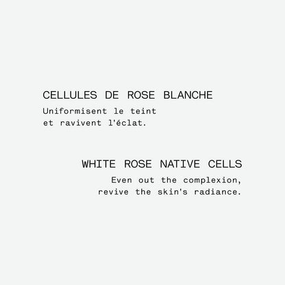 Assemblage Botanique Éclat P62
Cellules de rose blanche